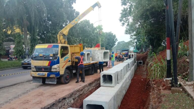 Project Pedestrian Kab Bogor